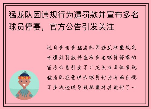 猛龙队因违规行为遭罚款并宣布多名球员停赛，官方公告引发关注